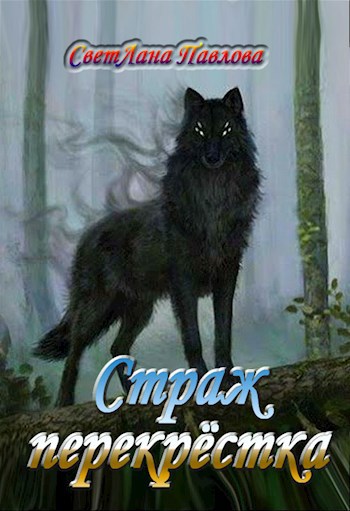 Страж перекрёстка