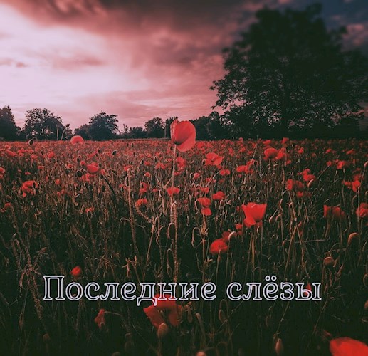 Последние слёзы