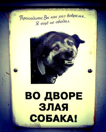 Тёмные круги на воде