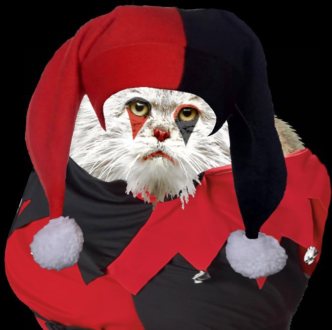 Не выпаренная морда