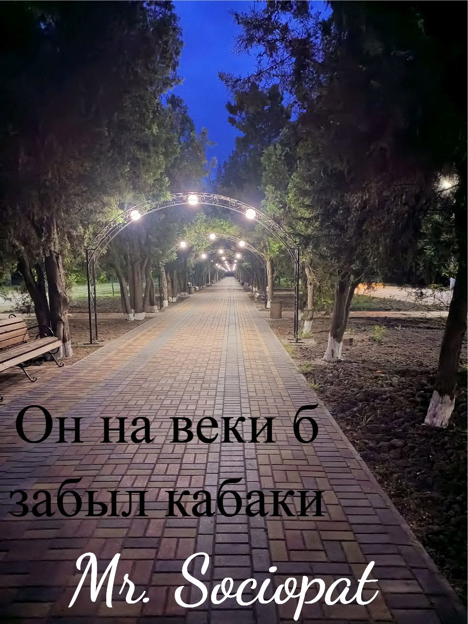 Он навеки б забыл кабаки