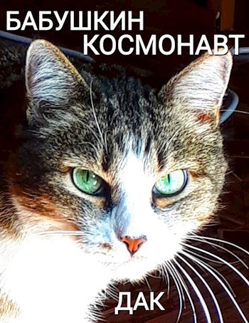 Бабушкин космонавт