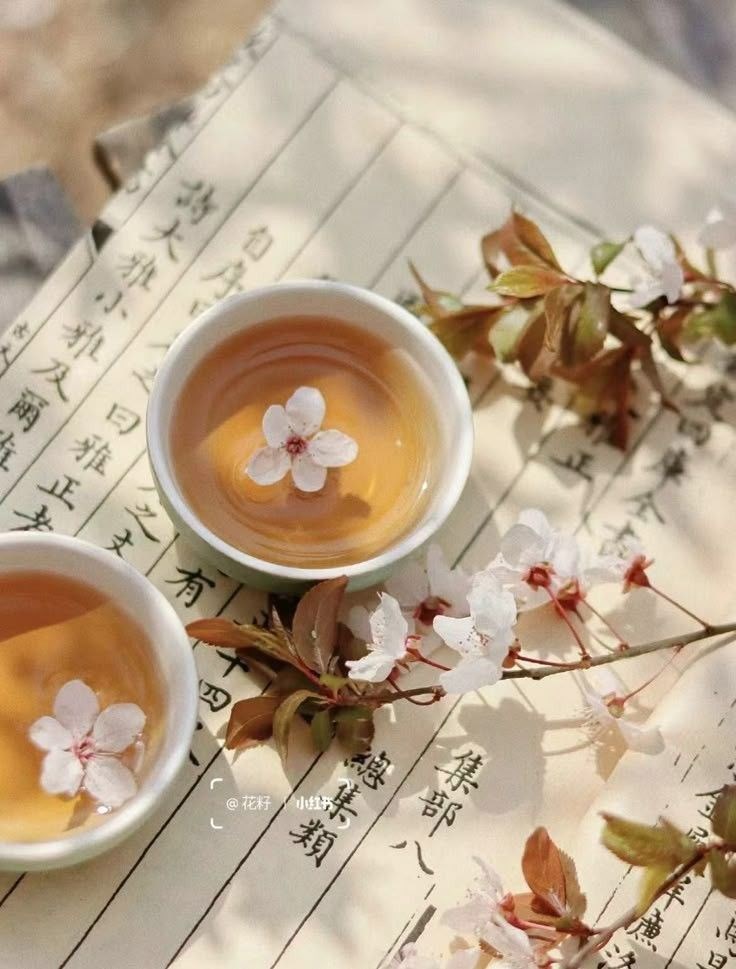 Веер и пиала