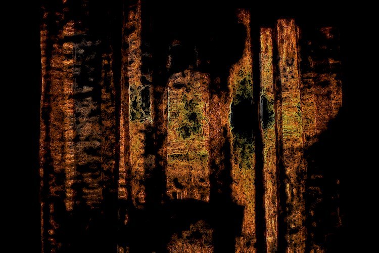 Отражение Завтрашнего Дня