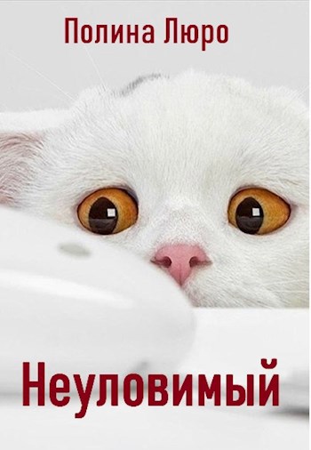 Неуловимый (Непридуманная история)