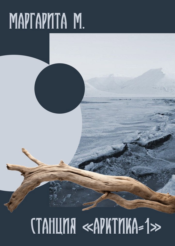 Станция Арктика 1