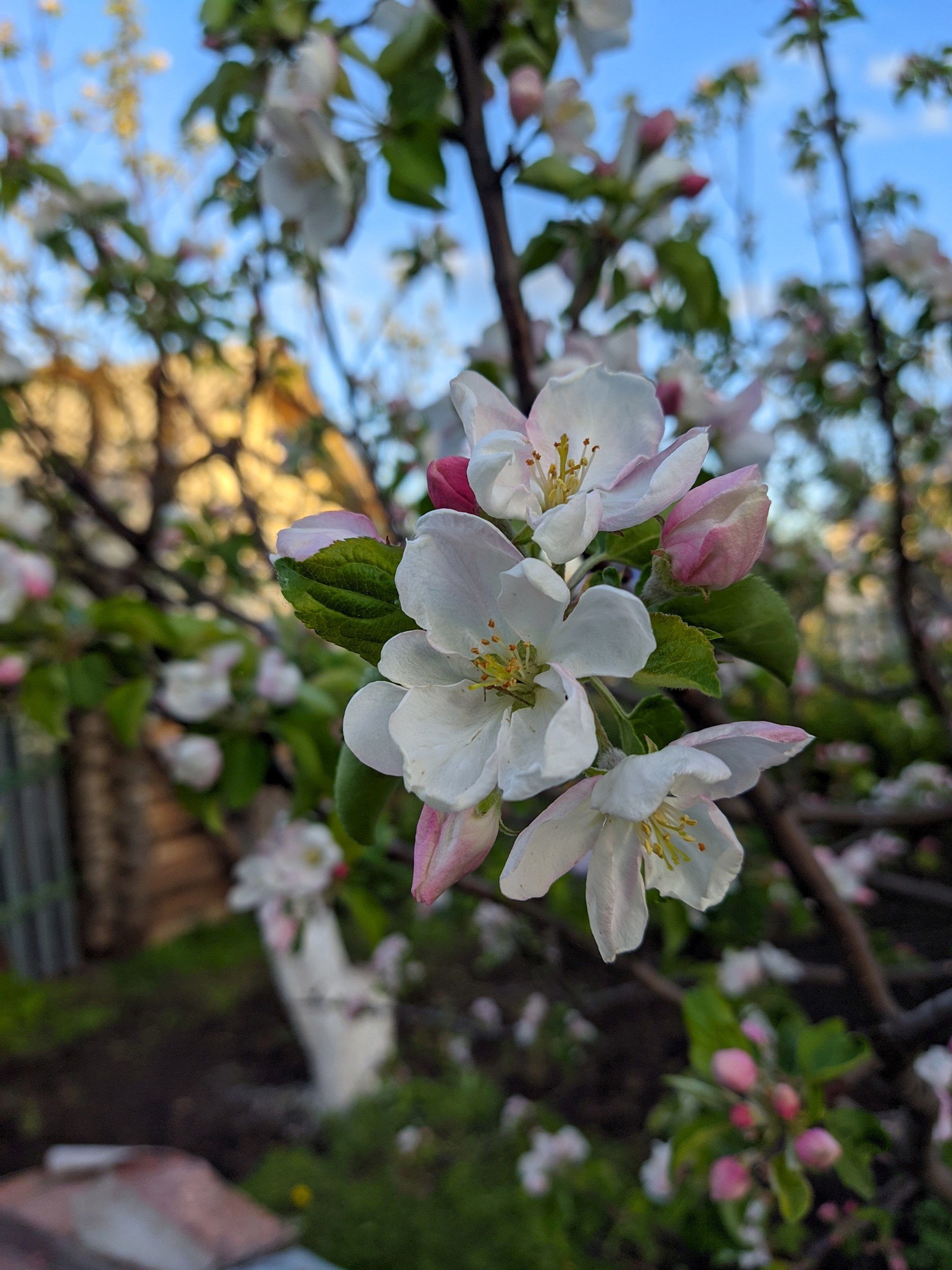 Посвящения