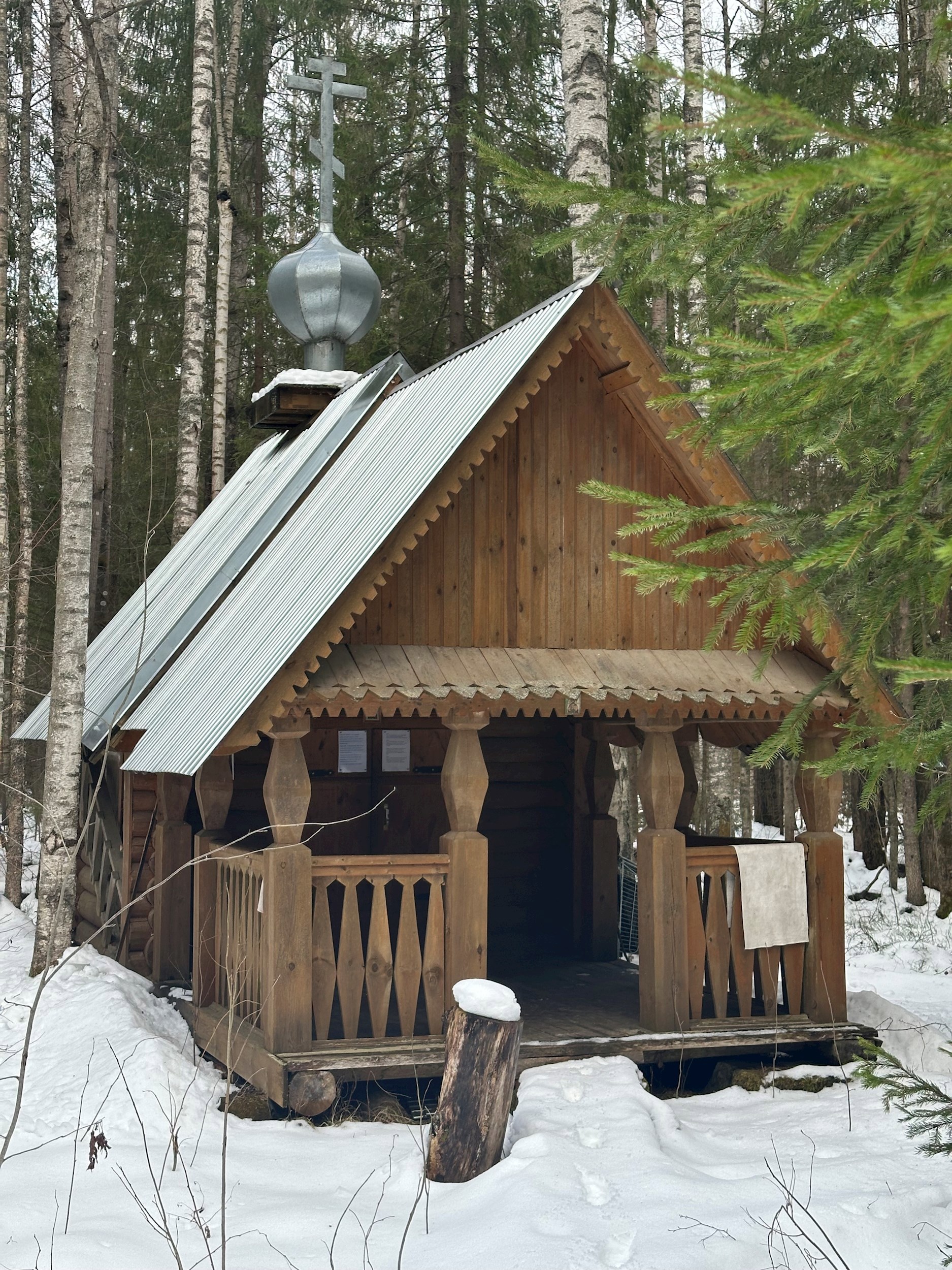 Лесная быль