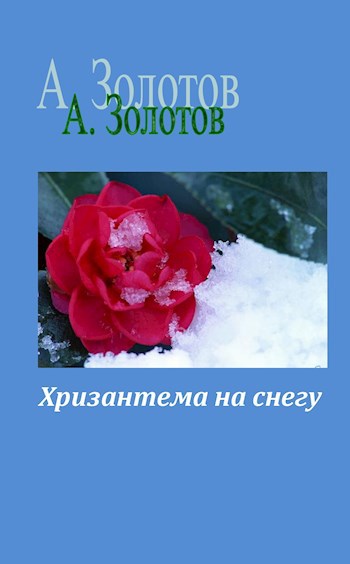 Хризантема на снегу