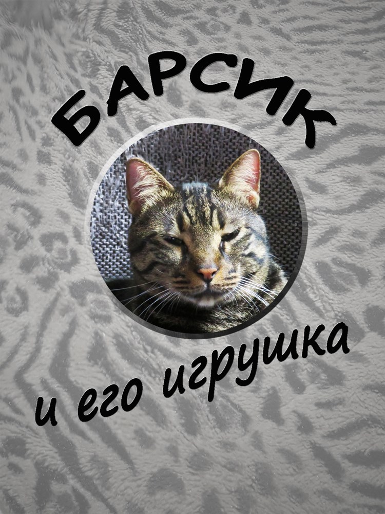Барсик и его игрушка