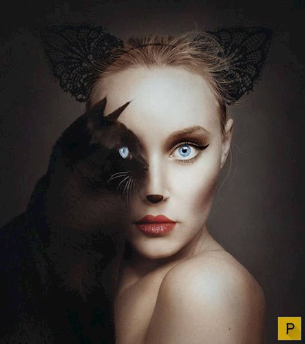 Семь снов черного кота. Сон первый