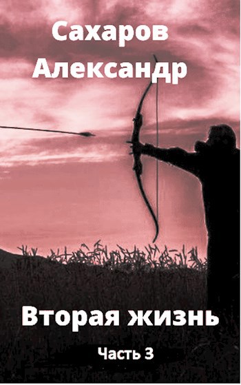 Вторая жизнь книга третья