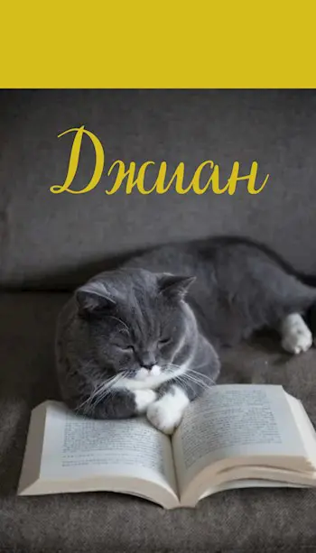 Джиан