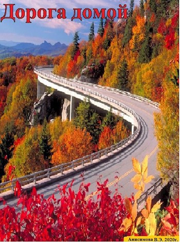 Дорога домой