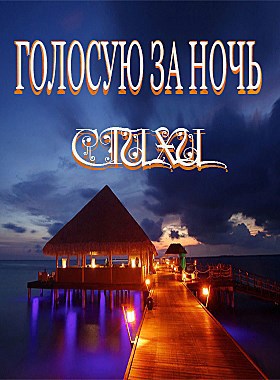Голосую за ночь