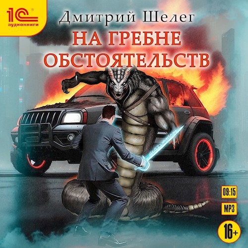 На гребне обстоятельств (аудиокнига)