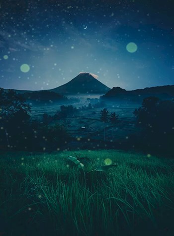 Как лень быть шаманом