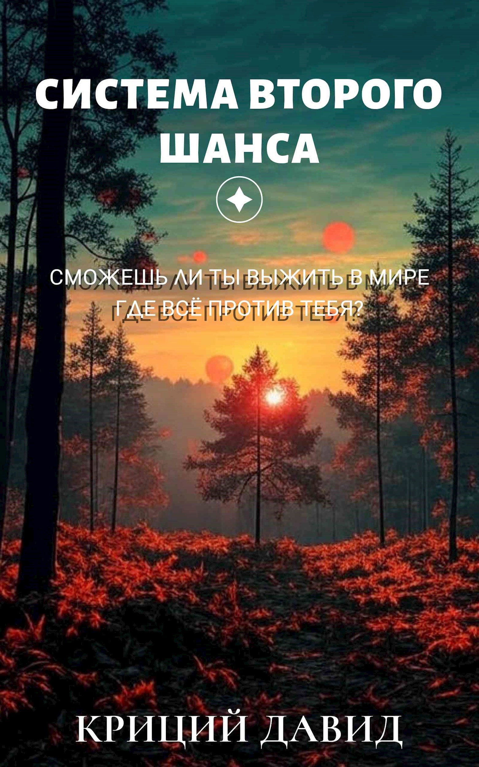 Система второго шанса