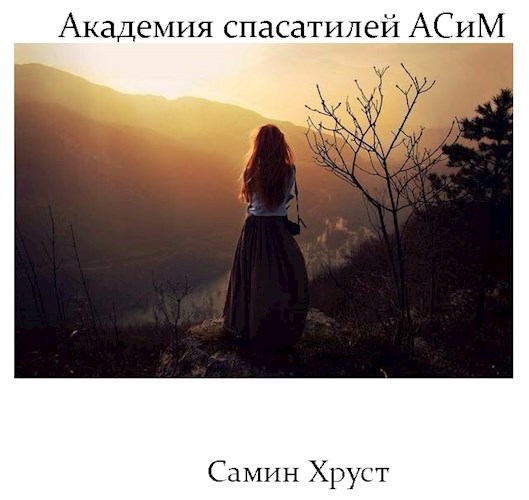 Академия спасателей АСиМ