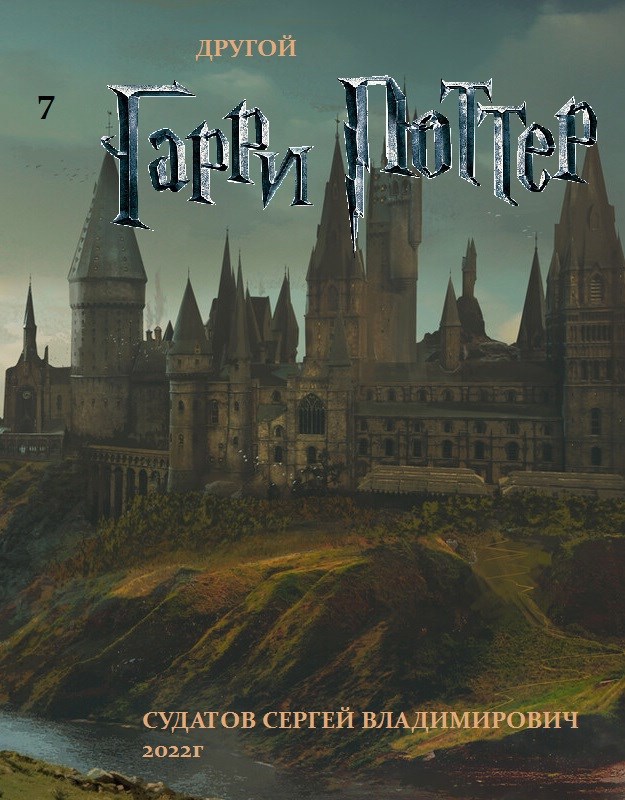 2022г Другой Гарри Поттер Судатов СВ