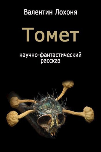 Томет