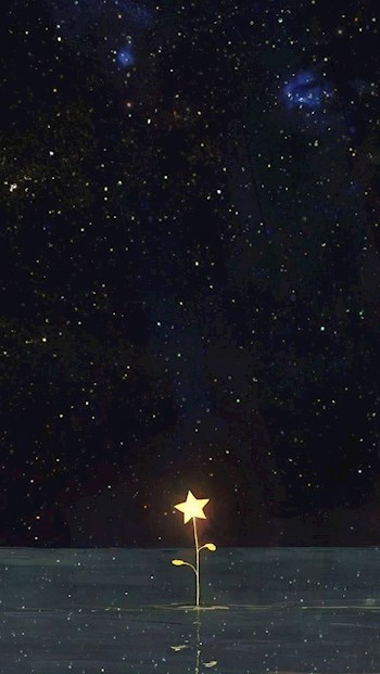 Семь шагов до счастья.