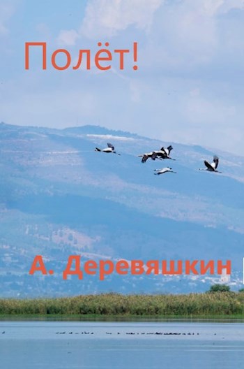 Полёт