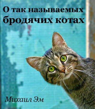 О так называемых бродячих котах
