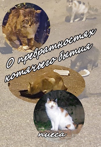 О превратностях котячьего бытия (пиеса)