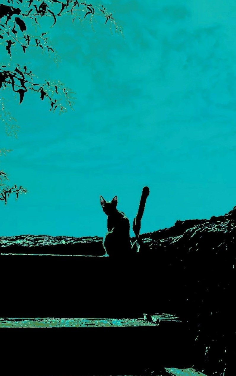 Два метра вниз