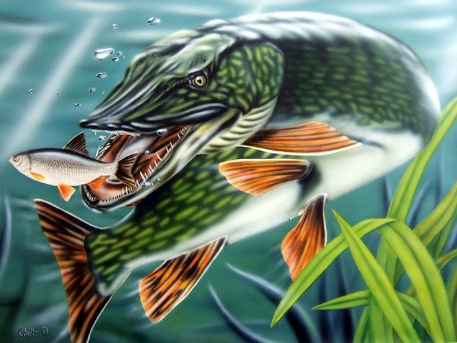 По щучьему велению.