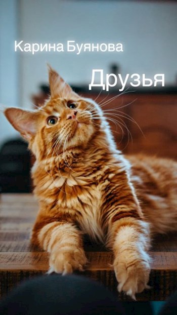 Друзья
