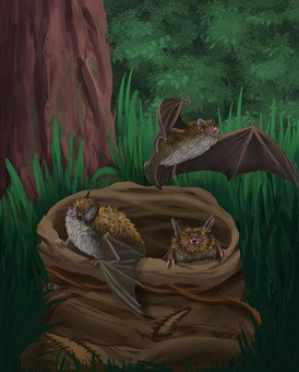 Неочевидная проблема Бэтмена