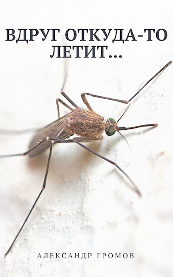 Вдруг откуда-то летит...