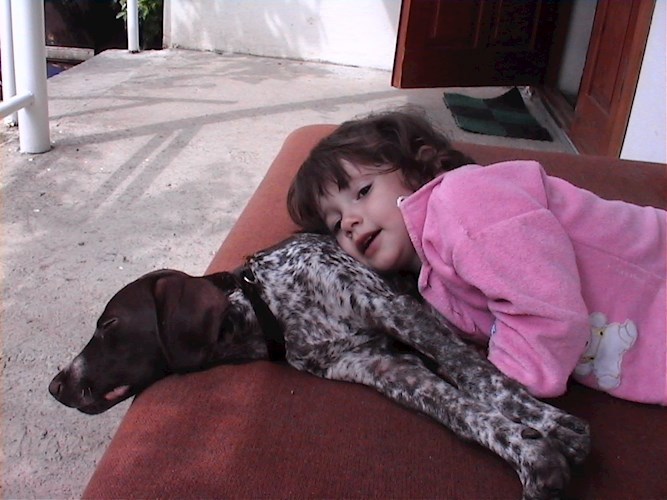 Маринетт Мортем и собаки в Лоо