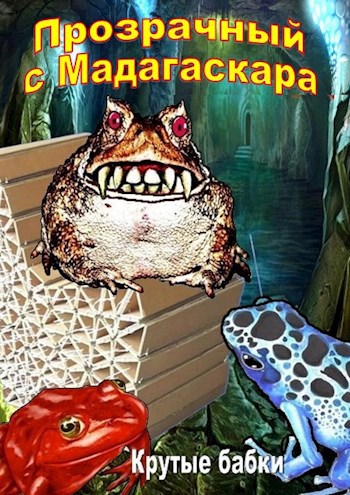 Прозрачный с Мадагаскара