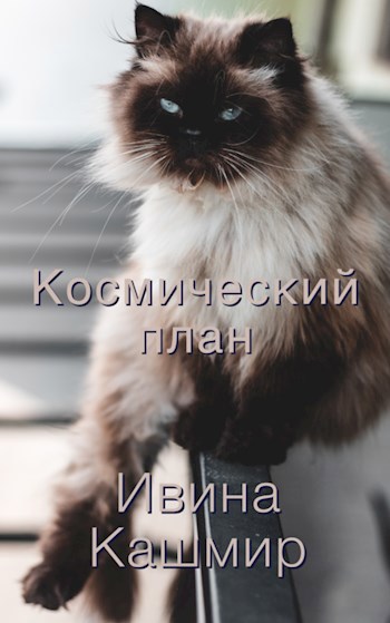 Космический план
