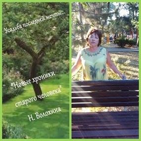 Усадебные хроники