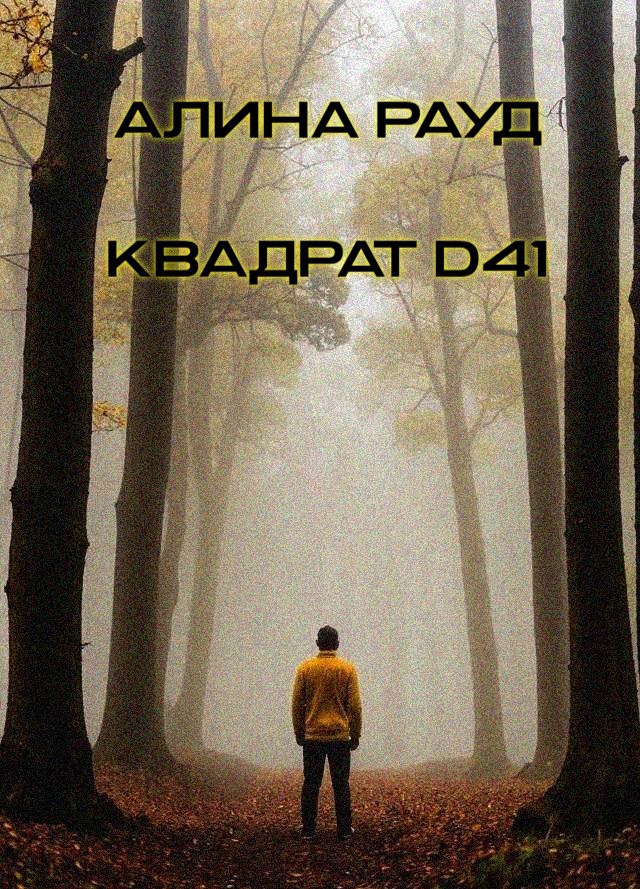 Квадрат D41