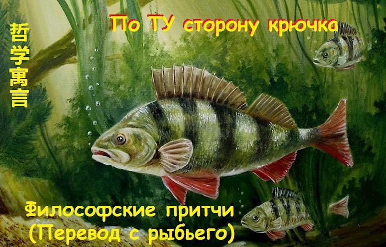 По ту сторону крючка