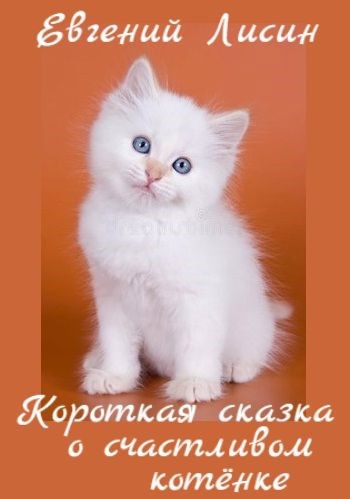 Короткая сказка о счастливом котёнке