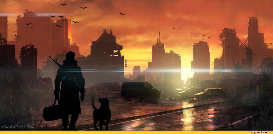 Книга 2. &#171;Эхо рассвета&#187;