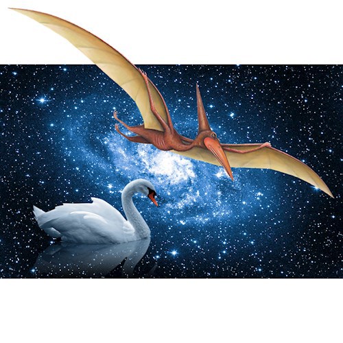 Гадкий утёнок