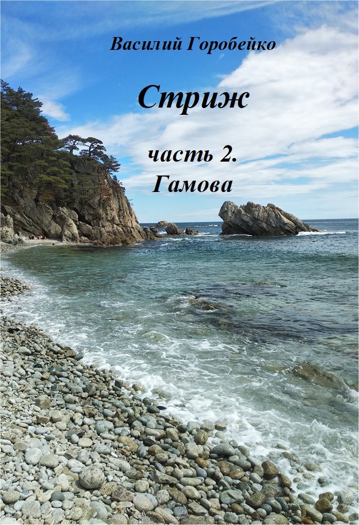 Стриж. Часть 2. Полуостров Гамова