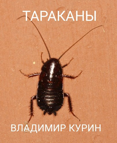 Тараканы