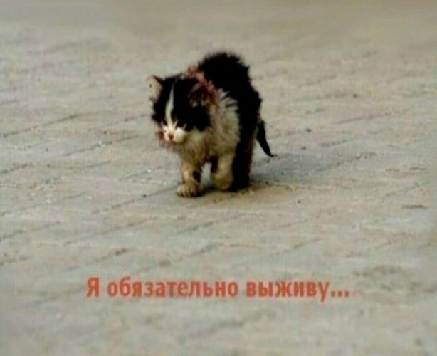 Экстендо