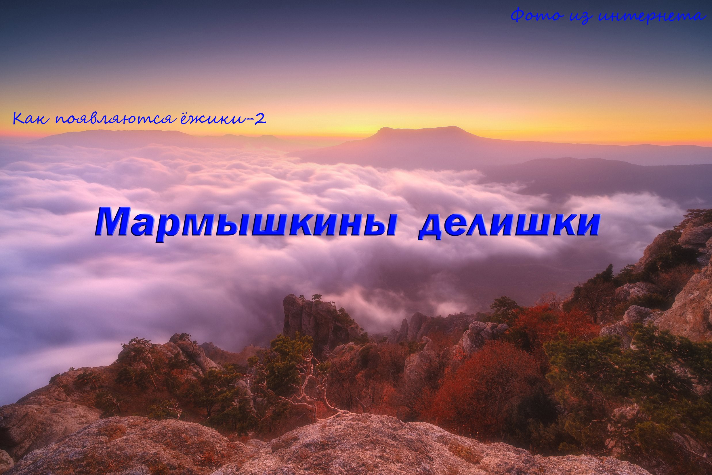 Как появляются ёжики-2. Мартышкины делишки