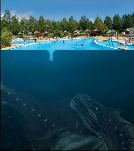 Зов из глубины океана