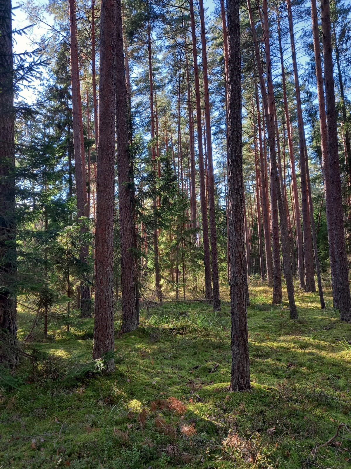 Ты это умеешь...