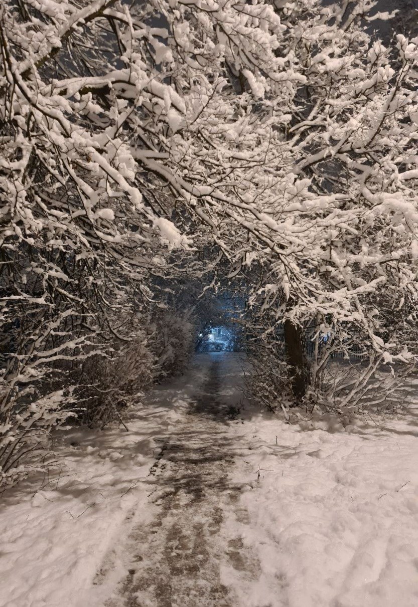 Здесь и сейчас